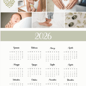 Calendario pagina singola 30x40 modello 2 (birth)